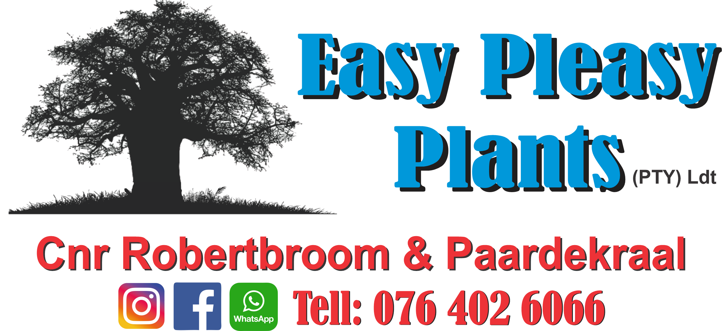 Easy Pleasy Plants